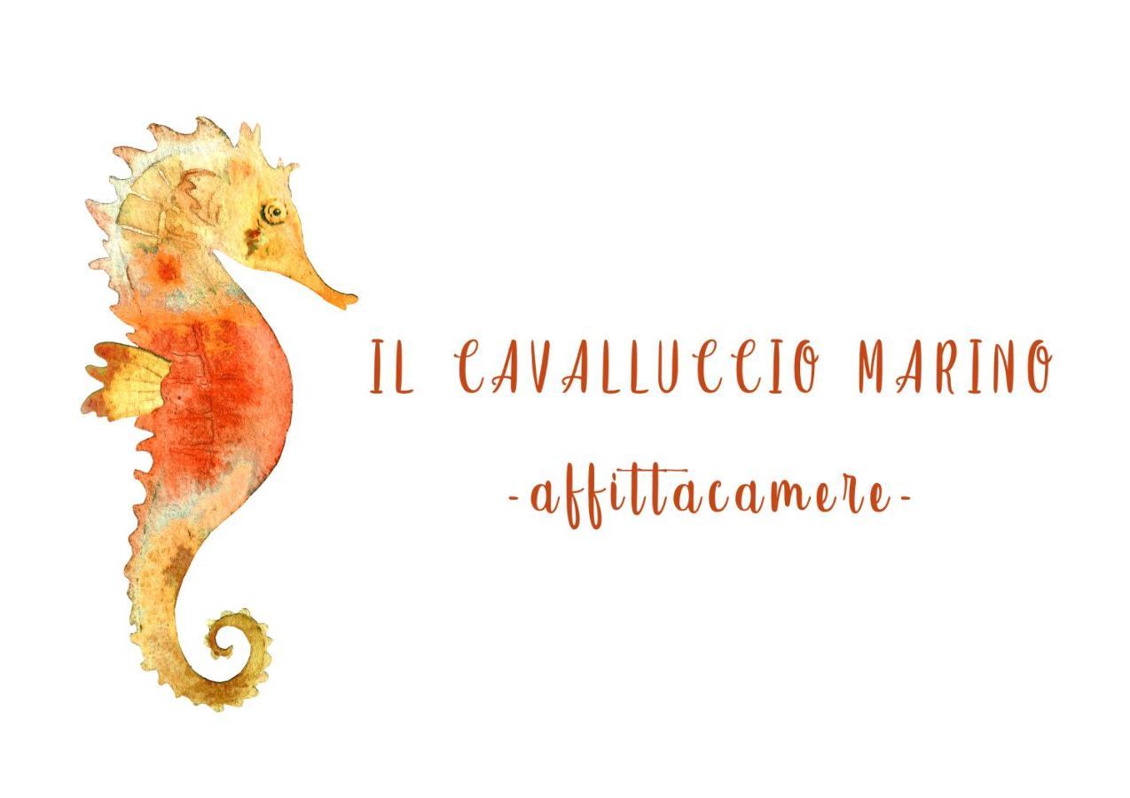 Il Cavalluccio Marino Manarola Eksteriør bilde