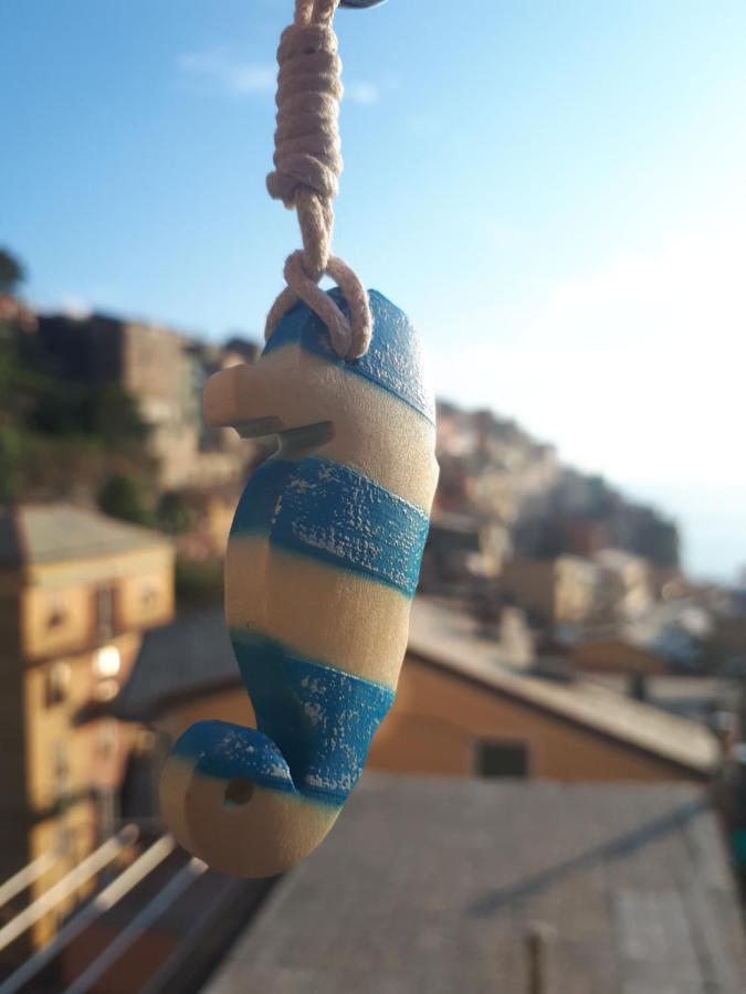 Il Cavalluccio Marino Manarola Eksteriør bilde
