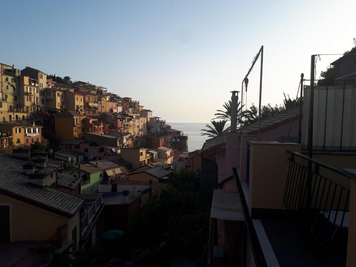 Il Cavalluccio Marino Manarola Eksteriør bilde